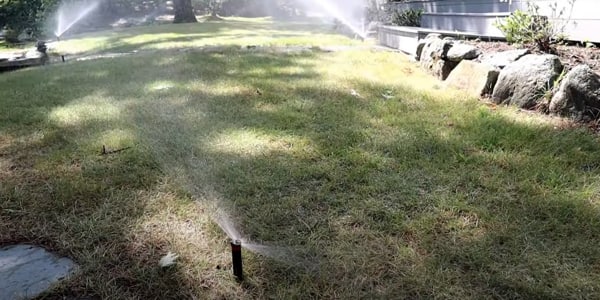 build irrigation well on a residential property.