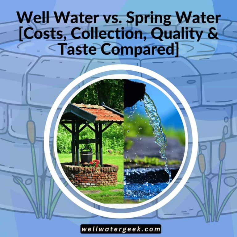 Well Water vs. Spring Water [Costs, Collection, Quality & Taste Compared]