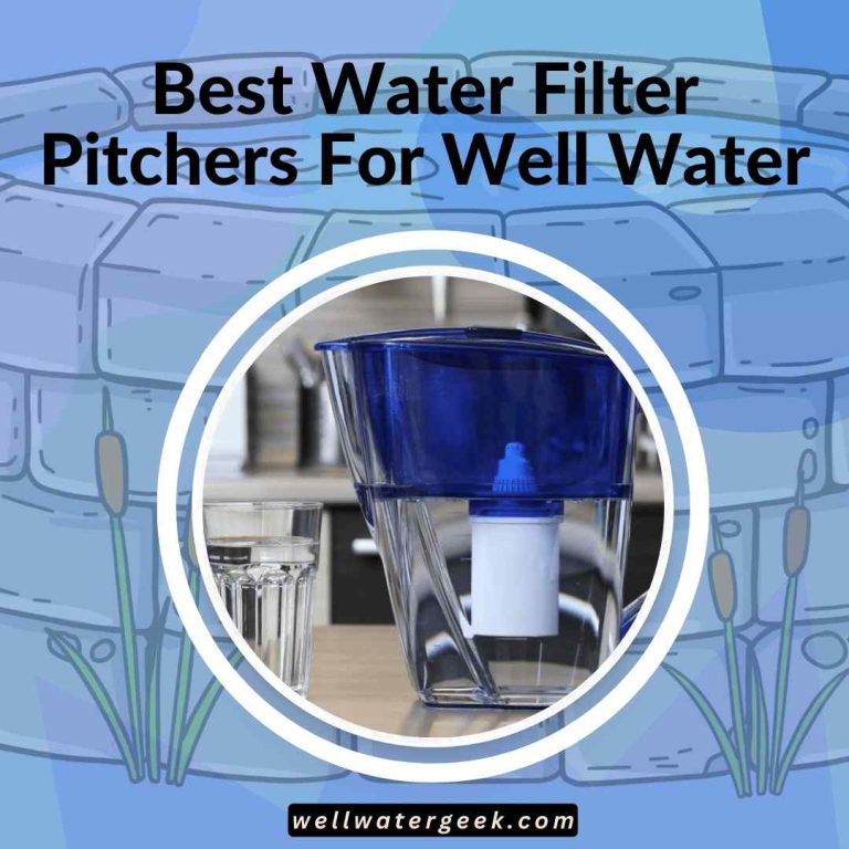 Best Water Filter Pitchers For Well Water