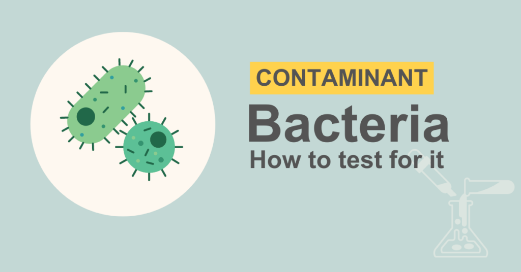 how to test for bacteria in well water